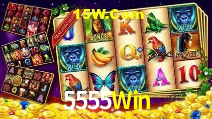 A Experiência Imersiva dos Cassinos Ao Vivo no 5555Win